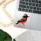 Baltimore Oriole Sticker