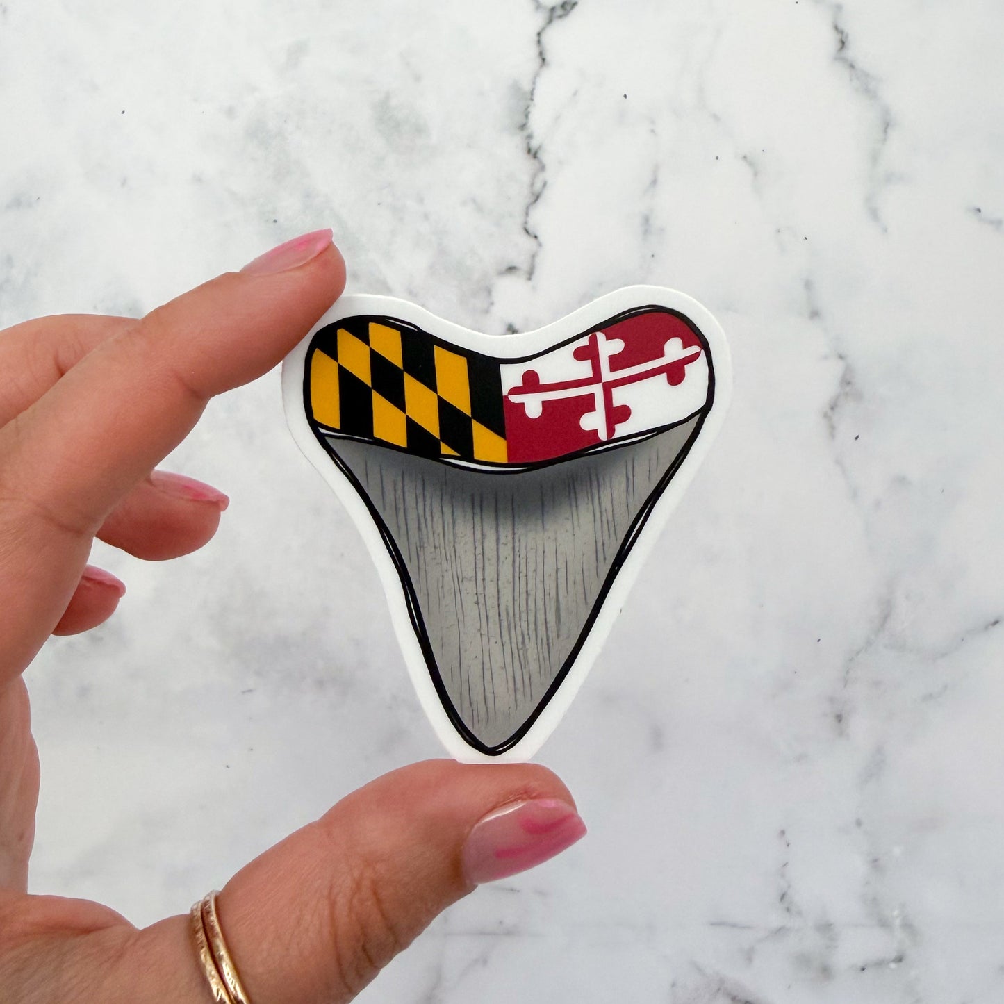 Maryland Sharks Tooth Sticker